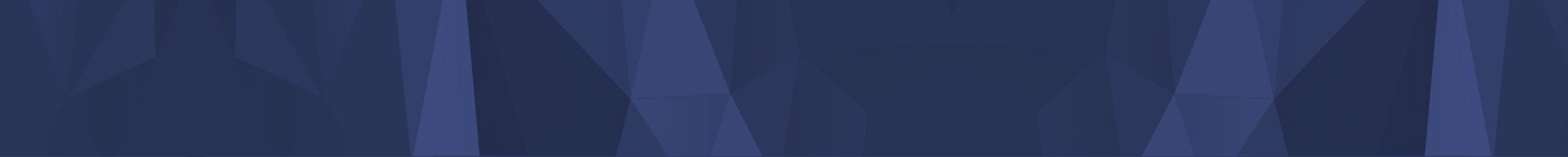 Anne Hewitt, Brisbane Grammar School 2017 banner